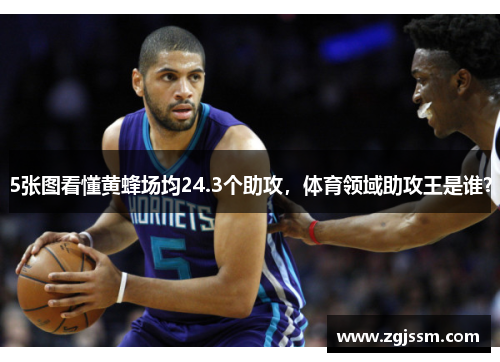 5张图看懂黄蜂场均24.3个助攻，体育领域助攻王是谁？