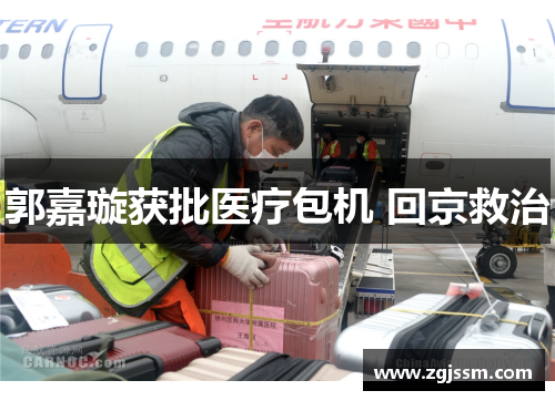 郭嘉璇获批医疗包机 回京救治
